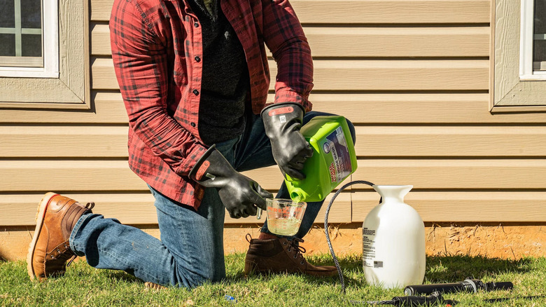 person pouring oxygen bleach in measuring cup