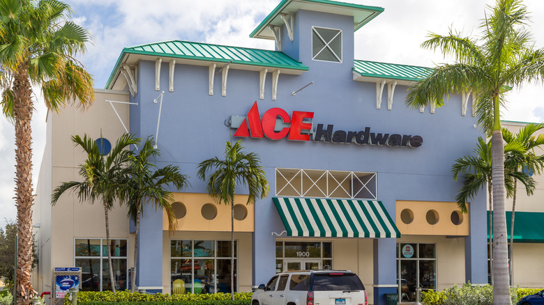 Ace Hardware store with palm tree