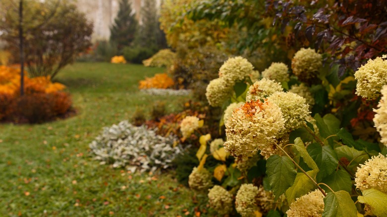 autumn landscaping