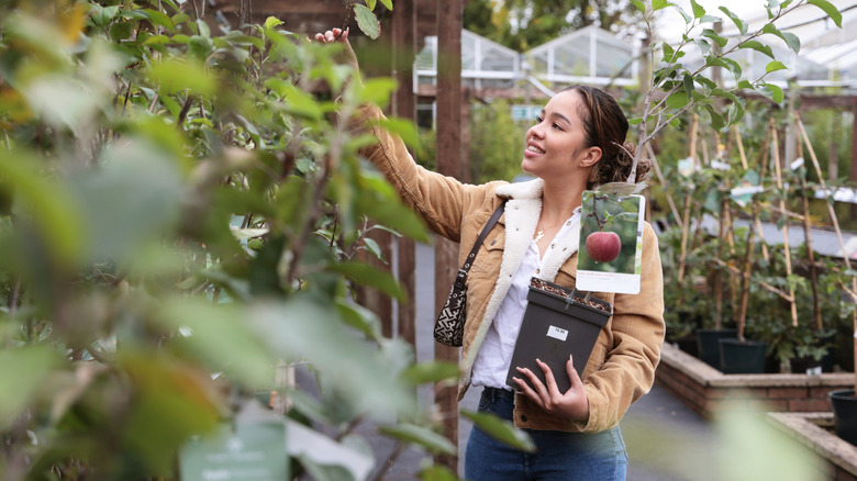 young woman shopping for fruit trees in outdoor garden center