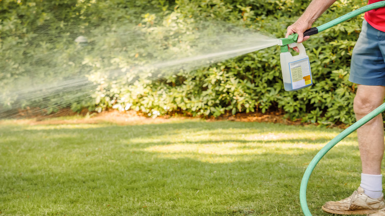 Person spraying liquid fertilizer