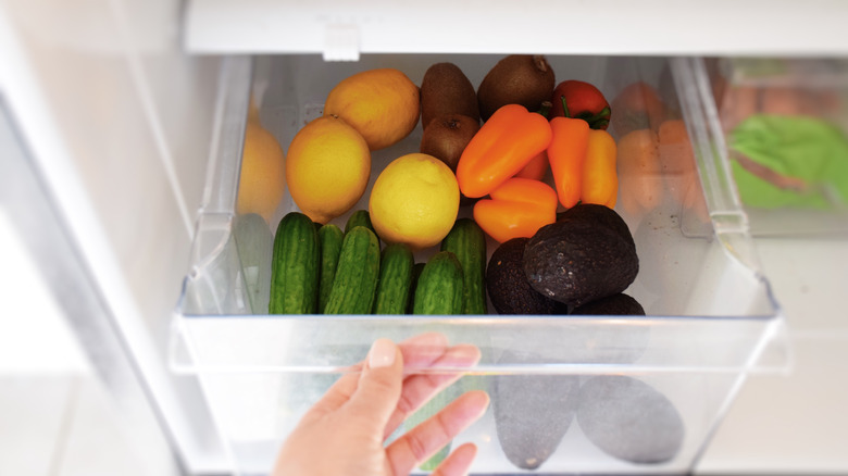 A woman's hand takes vegetables from a crisper drawer of a refrigerator