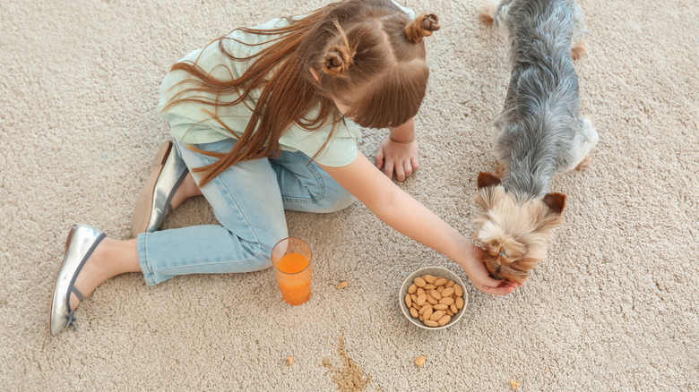 Child and dog on carpet