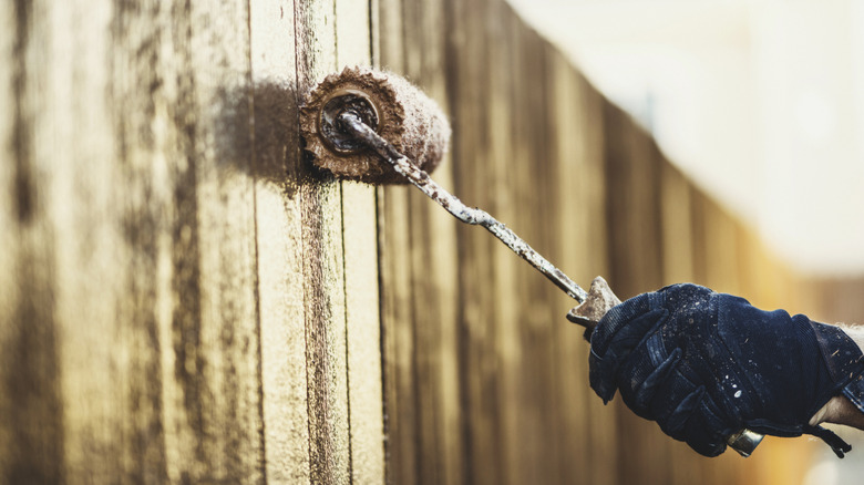 Person using a roller to stain a wooden fence