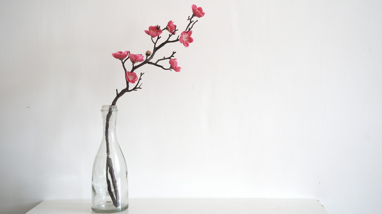 Plum blossom in clear vase