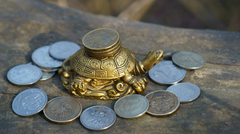 turtle surrounded by coins