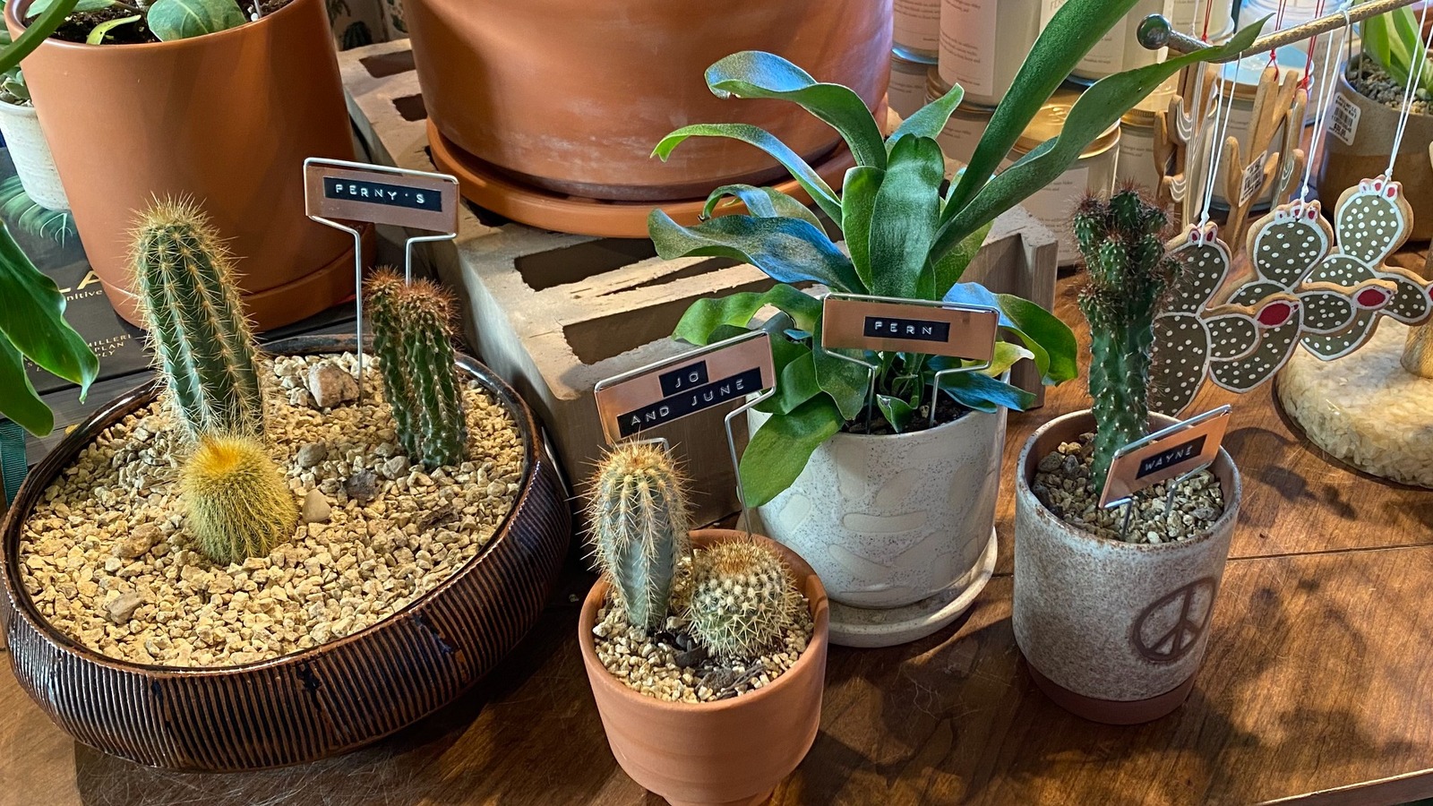 https://www.housedigest.com/img/gallery/fernys-at-magnolia-tells-us-how-to-create-drainage-in-houseplant-pots-with-zero-drilling/l-intro-1698267399.jpg