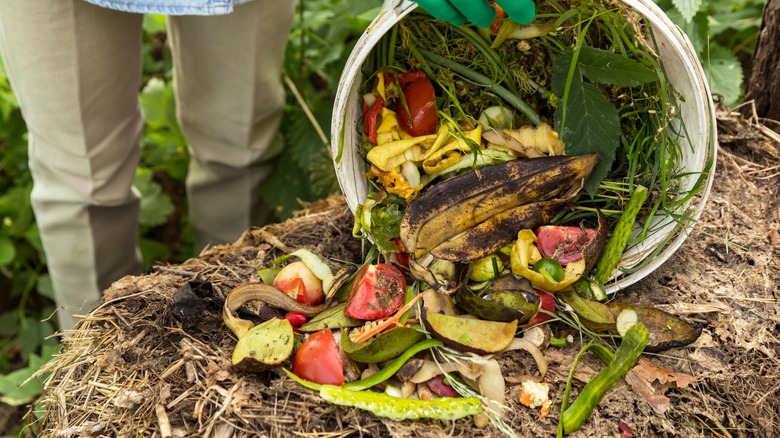 person adding food scraps to soil