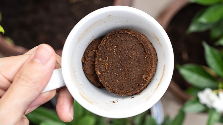 Hand holding coffee grounds cup