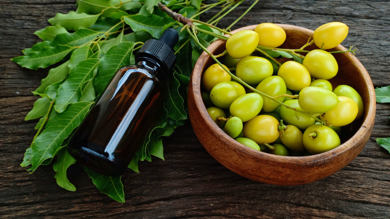 neem oil with leaves and seeds