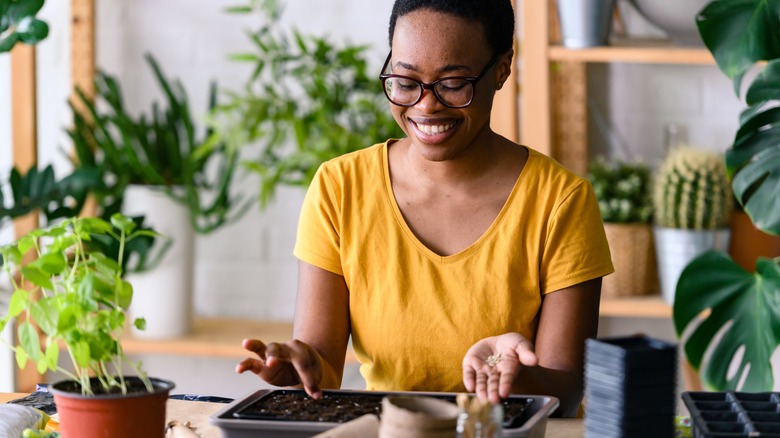 woman planting seeds indoors