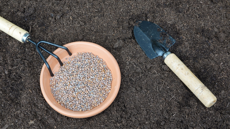 Freshly prepared garden bed with small hand tools and a bowl of seeds ready for planting