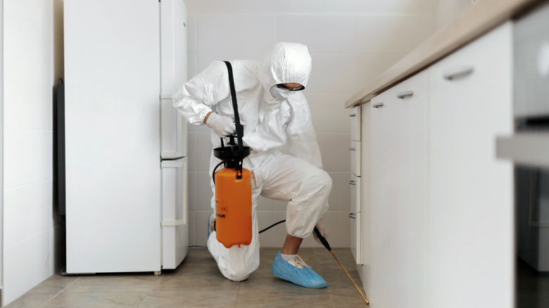 pest control tech spraying kitchen