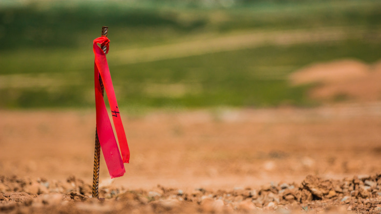 Metal marker with red flag