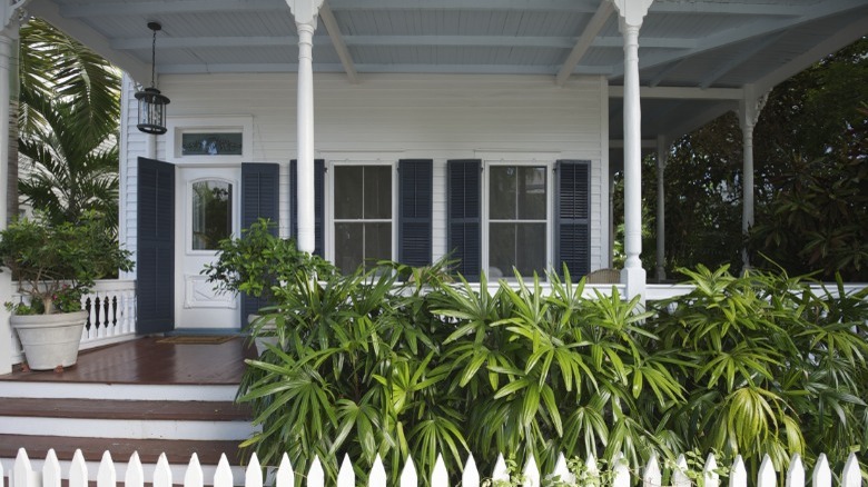 Porch with plants in front of it