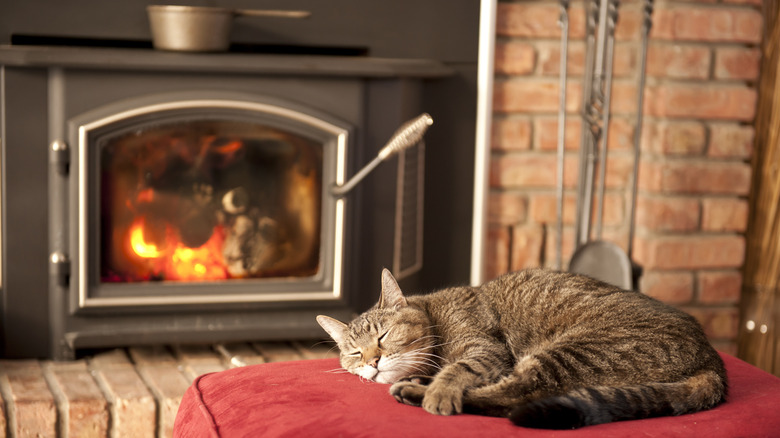 wood burning stove in home