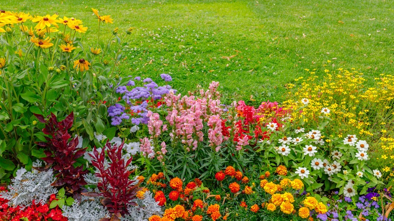 landscaping with flowers