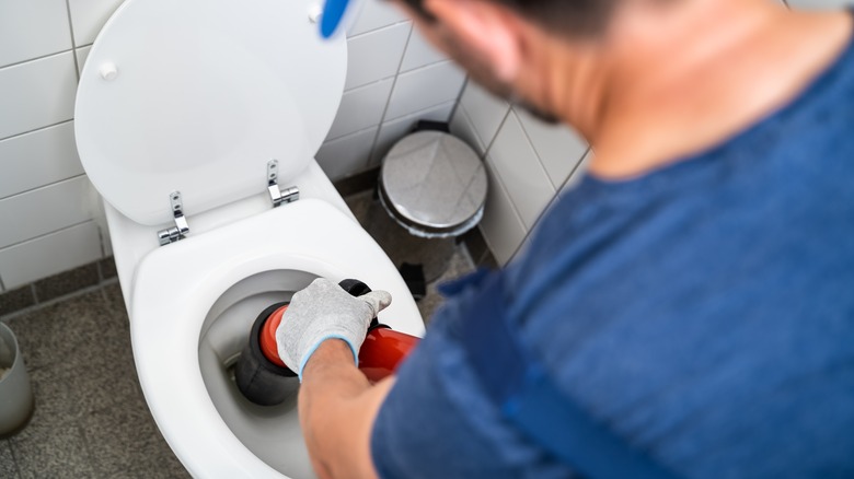 Flushing Hair Down The Toilet Could Be A Huge Mistake 0714