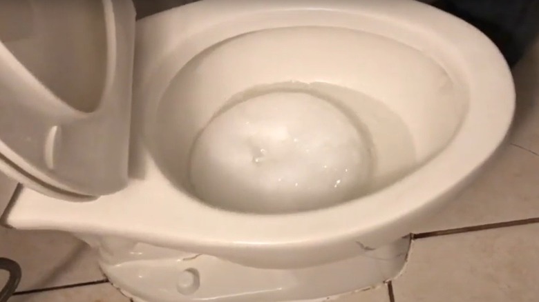 soapy water in toilet