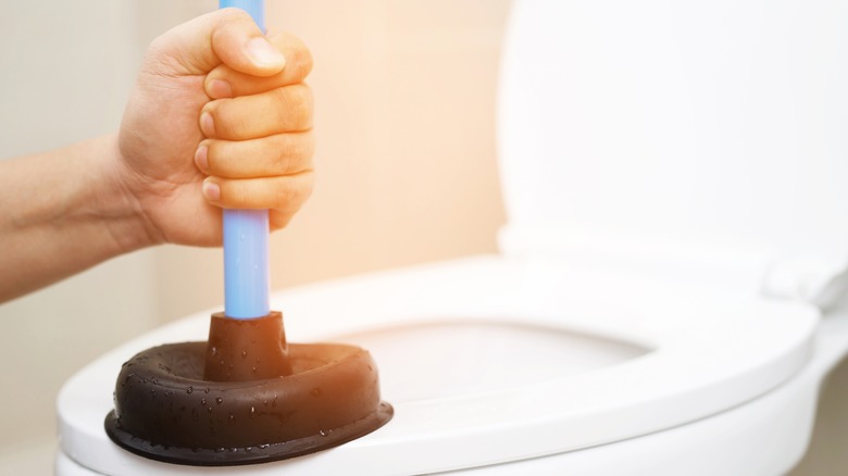 person using plunger on toilet