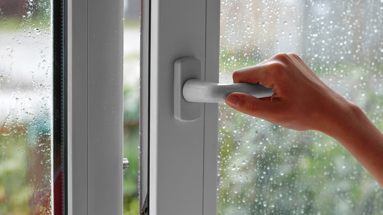 opening a window on a rainy day 