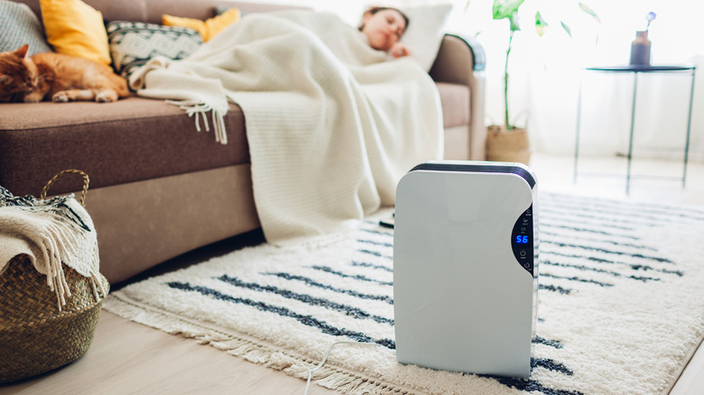 dehumidifier in living room