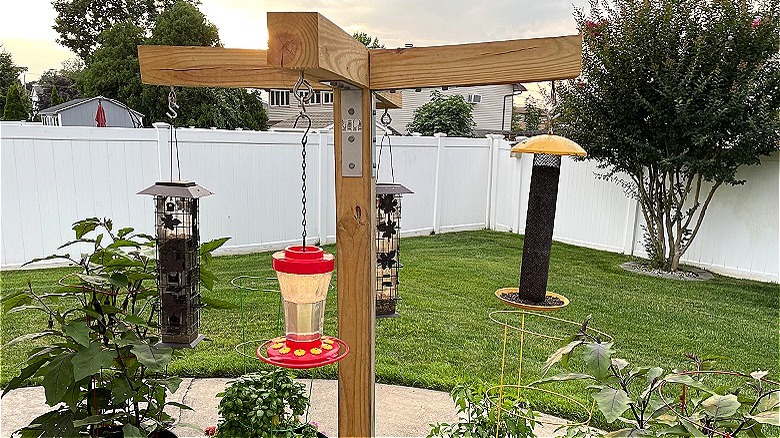 Bird feeders hang above garden