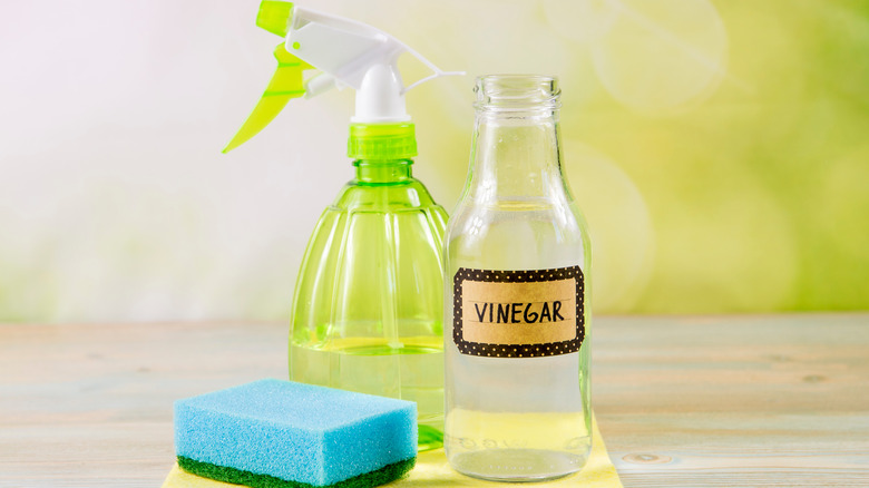 white vinegar cleaning supplies