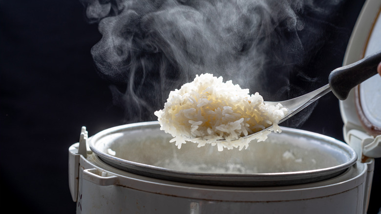 rice cooking