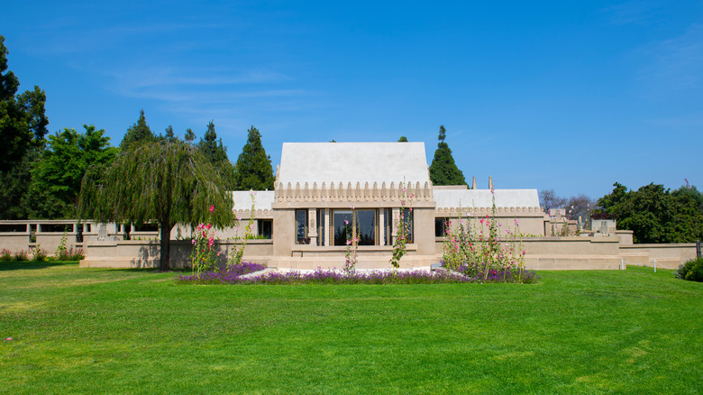 Hollyhock House garden and lawn