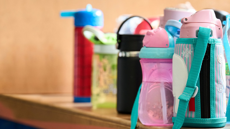 Colorful reusable water bottles on a counter