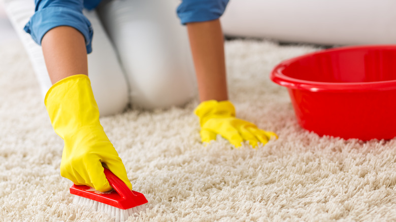 Person cleaning carpet