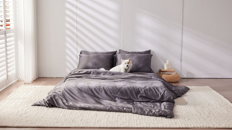 small white dog on grey sheets