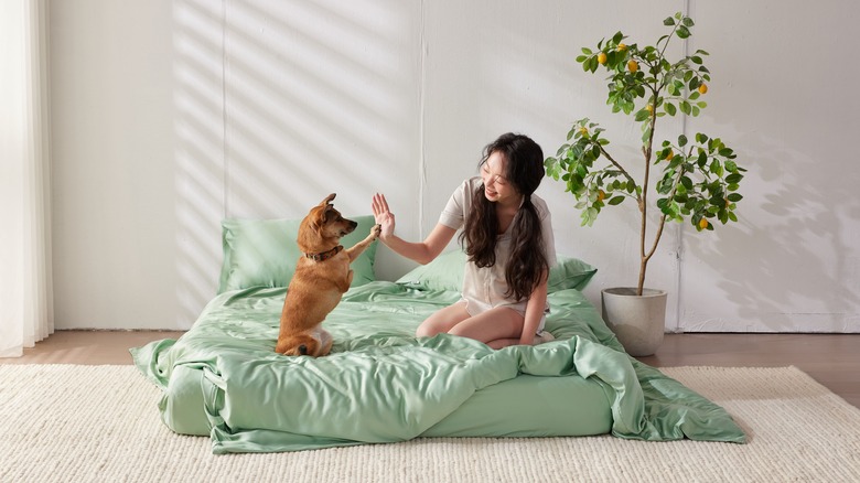 girl giving dog high five