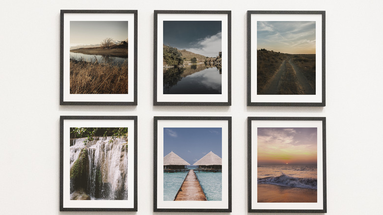 Nature images on gallery wall