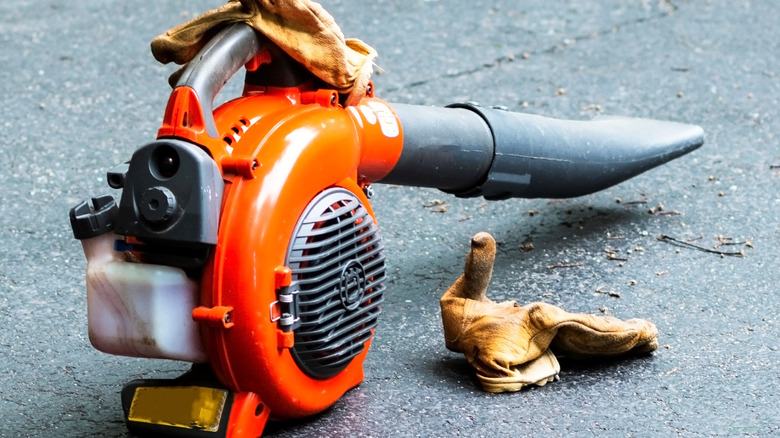 Gloves and leaf blower