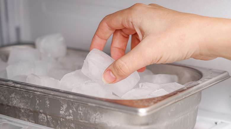 Person picking up an ice cube