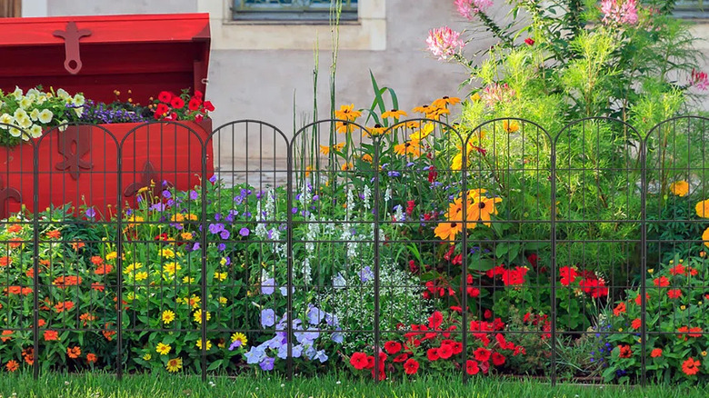 iron fencing around colorful flower garden