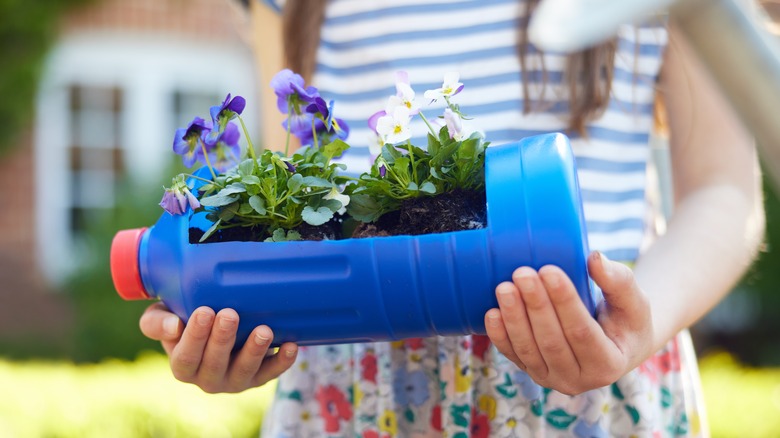 plastic bottle with plants inside