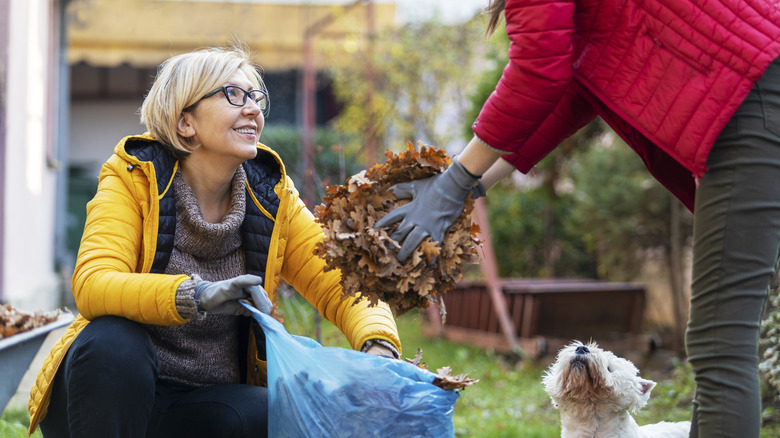 people tidying up garden