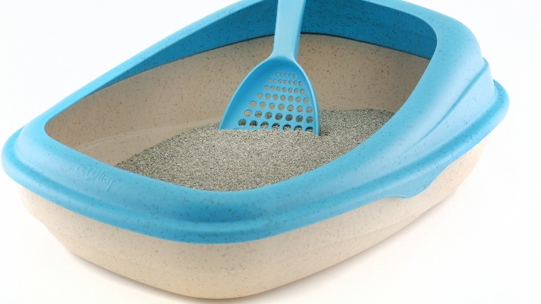 blue kitty litter box with scoop