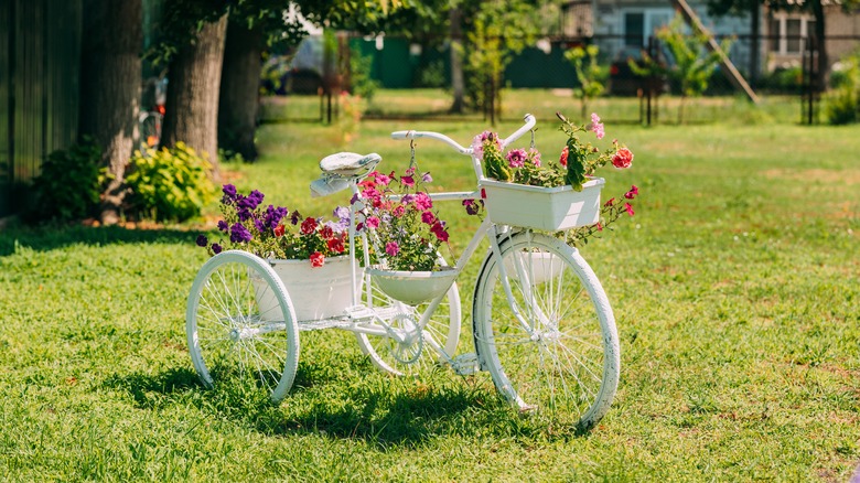 bicycle planter with petunias