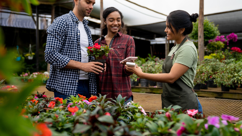 A couple buying a rose plant at a garden center