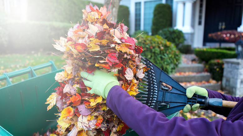 A gardener disposes of leaves in green bin.