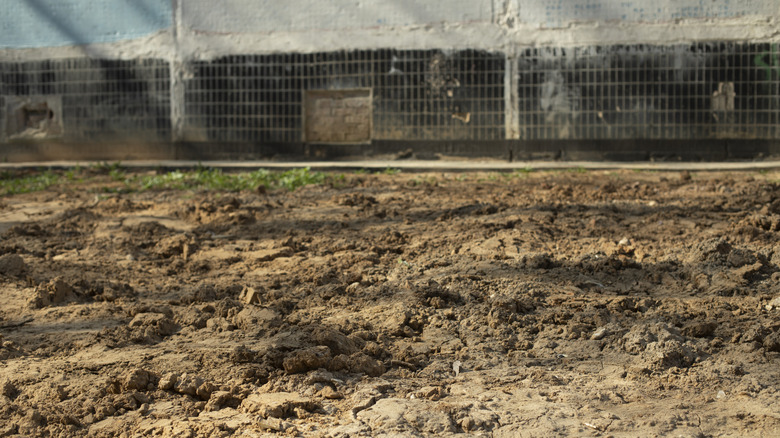 A yard with bare dirt and sparse grass in the back.