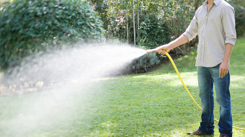 A man waters his lawn.