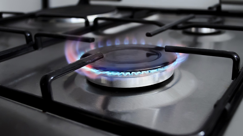 Gas stove burner