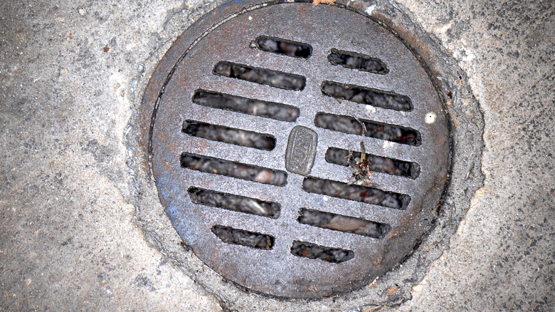 Close-up of dirty floor drain