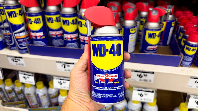 person holding WD-40 can