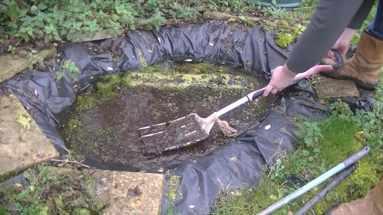 man cleaning pond with pitch fork